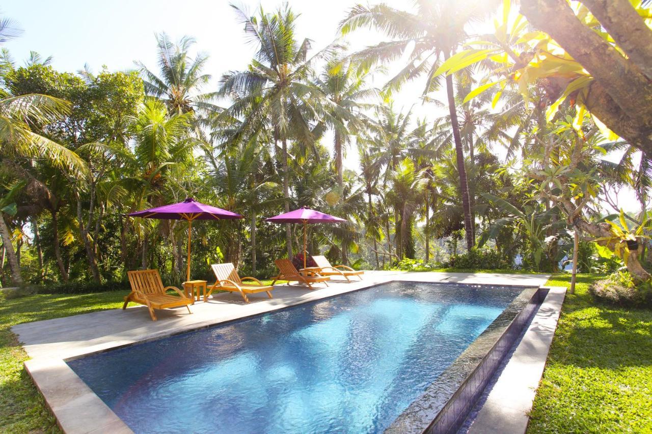 Suarsena Villa Ubud Zewnętrze zdjęcie